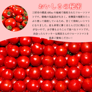 トマト 1kg 産地直送 フルーツ トマト【 トマト 】