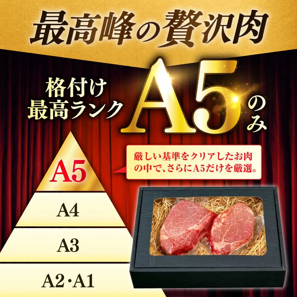 佐賀牛 赤身 A5 希少部位 ステーキ 200g × 2枚 部位おまかせ[FDR003]