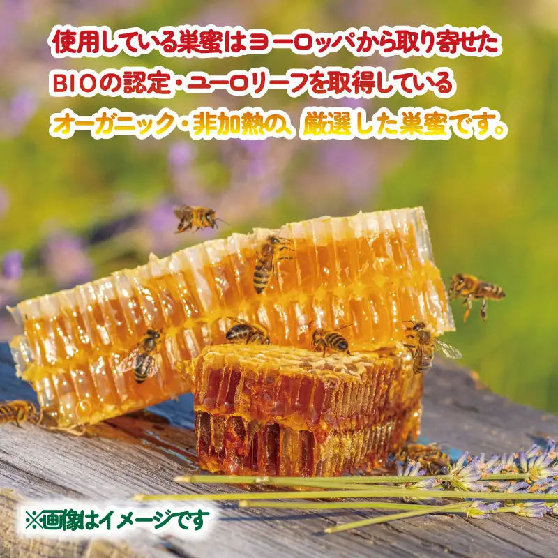 巣蜜 コムハニー 250g × 2個 セット 宇和島農産 ハニー F018-132012