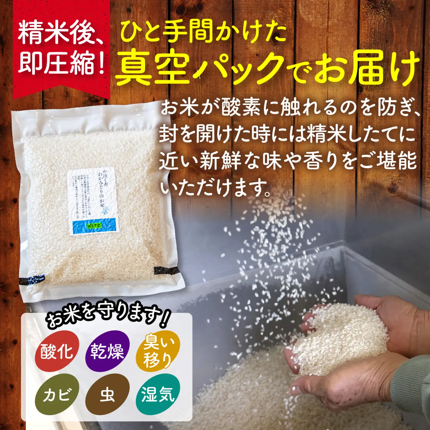 【令和7年産】こしひかり 2kg（1kg × 2袋） |  コシヒカリ お米