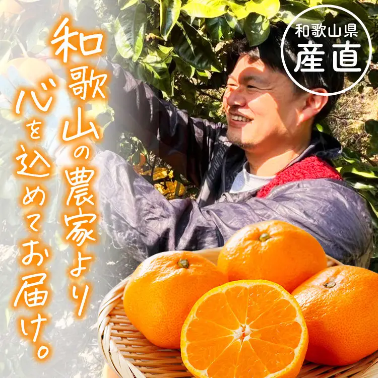 わかやま旬のフルーツ定期便[S] 全3回 2～3・6・10月発送 家庭用 ［MS120］