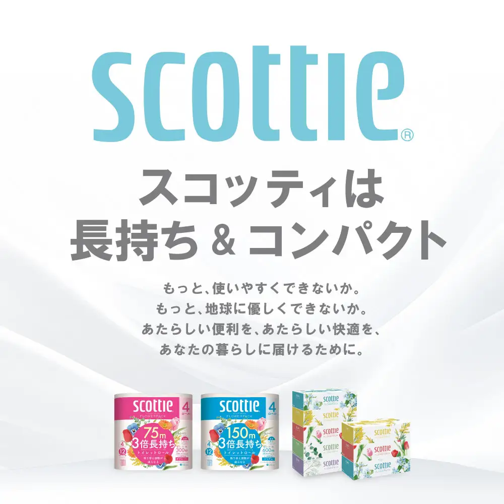 【定期便6回】【毎月お届け】【スコッティ】 組み合わせ ティシュー フラワーボックス 250組 8箱 計48箱 トイレットロール シングル フラワーパック 3倍長持ち 8ロール 計48ロール ティッシュ トイレットペーパー 日用品 ストック 防災備蓄 ストック 備蓄 新生活 防災 消耗品 生活用品 日用消耗品 箱ティッシュ