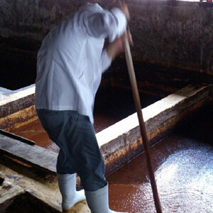 明治十年創業 高砂醤油が醸す出雲の味食べ比べ醤油５本