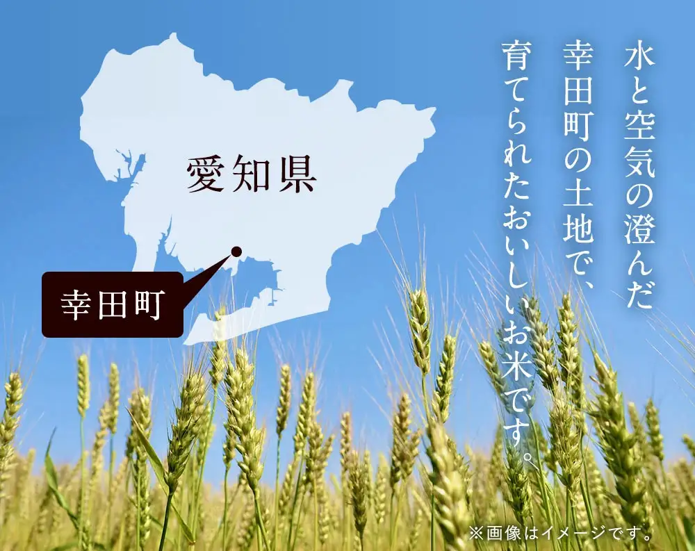 【3カ月定期便】幸せな田んぼのある町のお米｢幸田町｣産 あいちのかおり 白米 5kg ◇ ｜ お米 米 白米 精米 ご飯 ごはん 定期便
