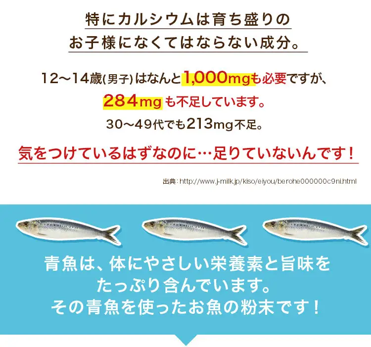 B313 煮干しの粉１０袋セット　ONJC010