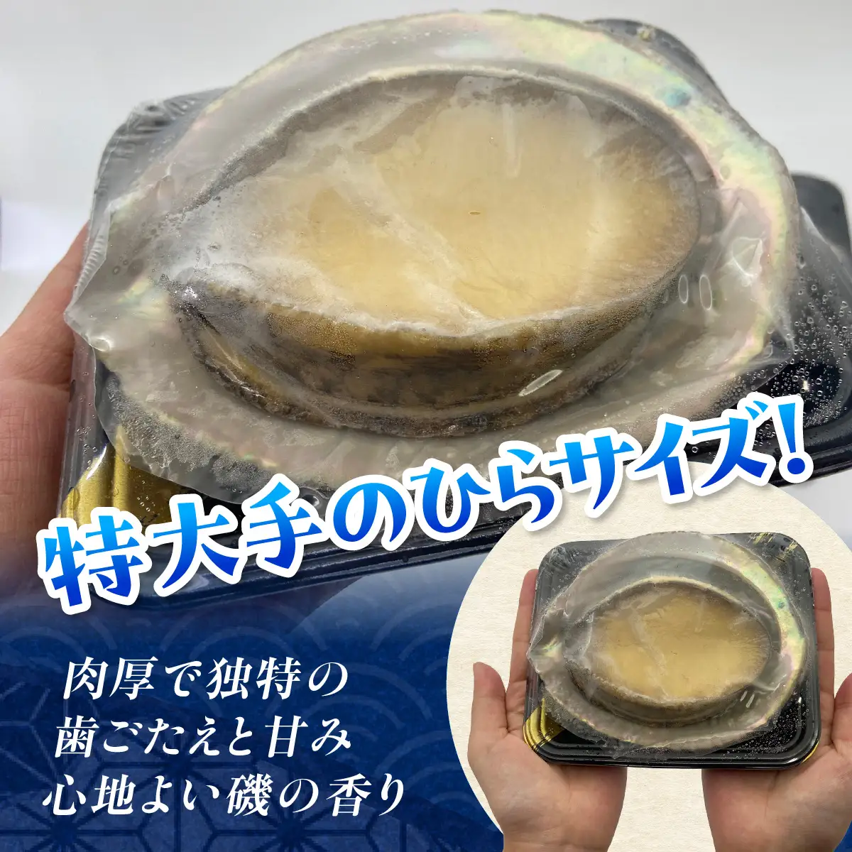 G205 冷凍蒸しアワビB　ONJA023