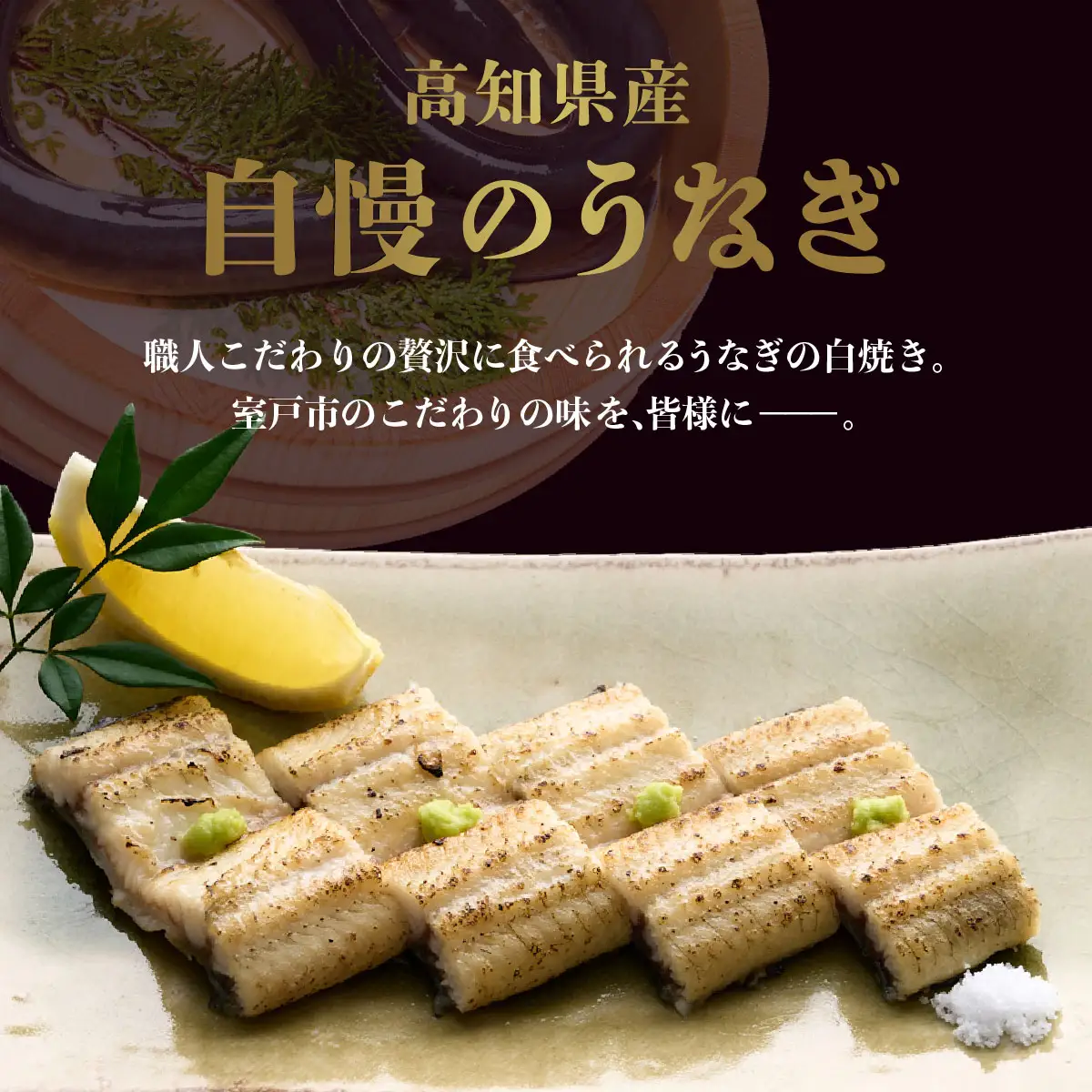 高知県産うなぎ 白焼き 3尾（約170g） 白焼き yj036