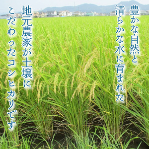 【2026年9月発送】令和8年産 米 コシヒカリ 5kg 先行予約 新米 こしひかり 白米