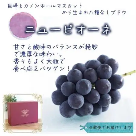 岡山　花笑み農園の『ニューピオーネ』贈答用　約2kg (3～4房) P-2上【配送不可地域：離島】【1650734】