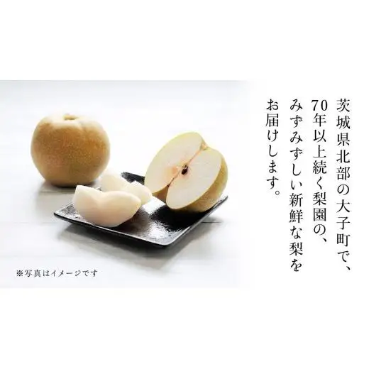 茨城県産 梨 幸水 サイズ おまかせ （2L～ 4L ） 5kg（ 12～16玉 ）【2026年8月中旬発送開始】 (茨城県共通返礼品：大子町)