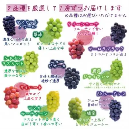 岡山　花笑み農園のブドウ『10月おすすめ 2種セット』1kg　2M-1L【配送不可地域：離島】【1650775】