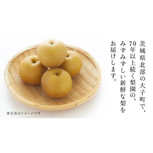 茨城県産 梨 豊水 サイズ おまかせ （ 3L～4L ） 5kg （ 12～14玉 ） 【2026年9月上旬発送開始】 (茨城県共通返礼品：大子町)