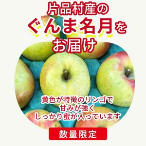 ぐんま名月 りんご 約3kg（片品フルーツ農園）