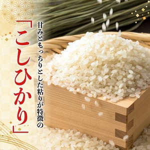 【令和8年産】村井農園産こしひかり（精米）5kg 【 米 お米 白米 精米 こしひかり 国産 宮崎県産 おにぎり 】