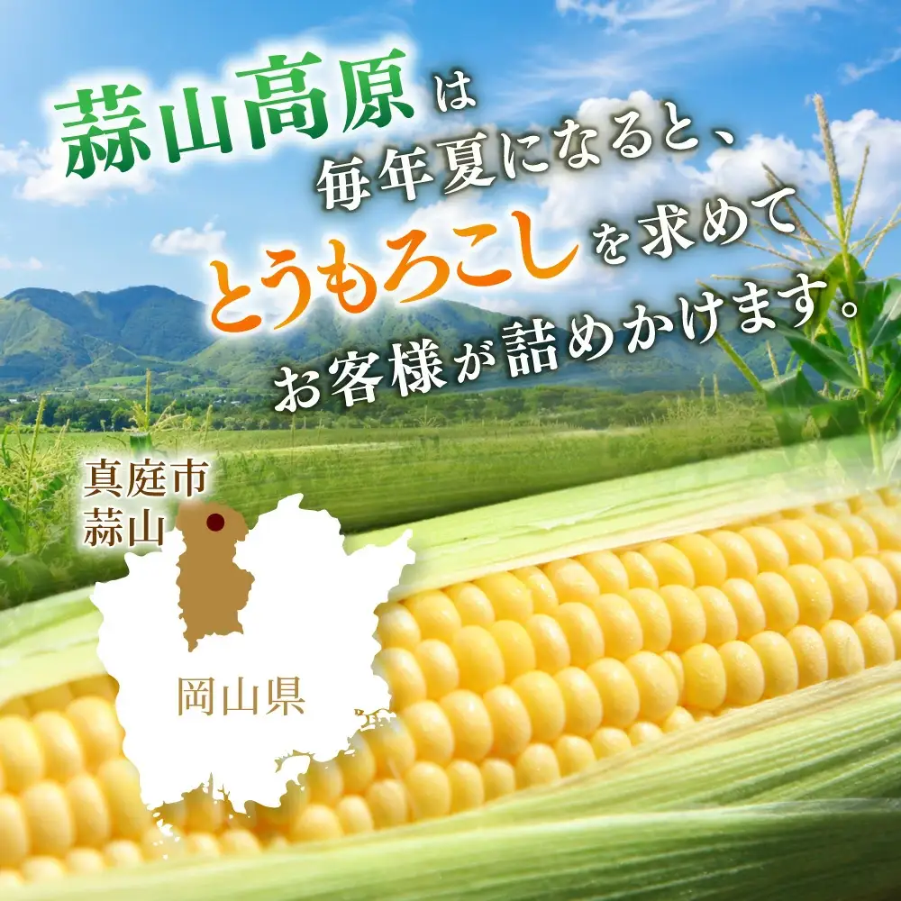 とうもろこし 蒜山高原産 朝採れイエローコーン とうもろこし10本 【jujy001-02】