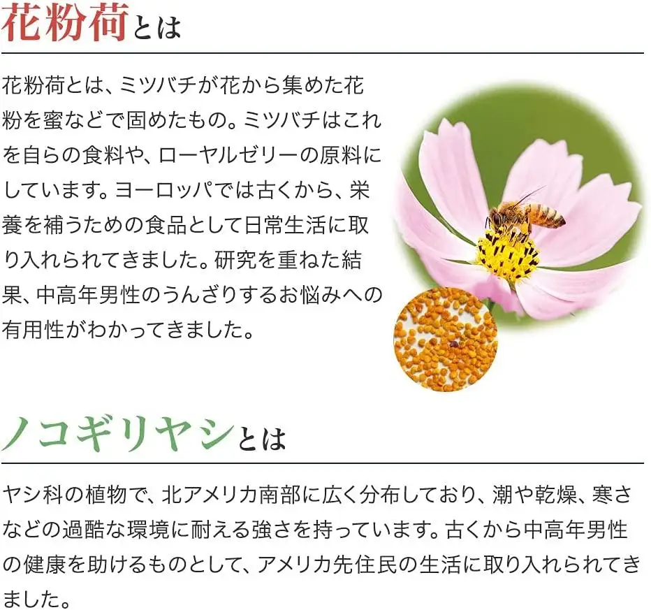 Ｚｎ立Ｂｅｅ（33353）【006-a094】【山田養蜂場】