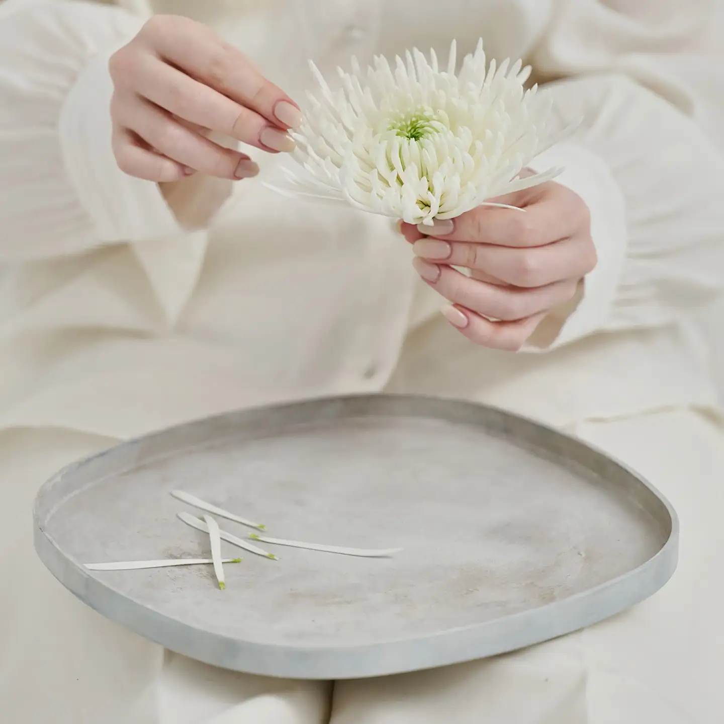 紀州漆器 SHIKI-ORIORI しきおりおり さざなみ BON 盆 お盆 トレイ