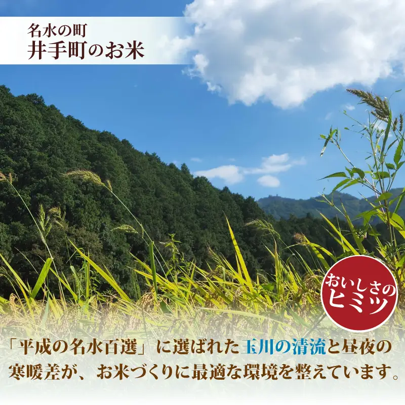 【新米】令和8年産 ヒノヒカリ 5kg 新米 京都府 井手町