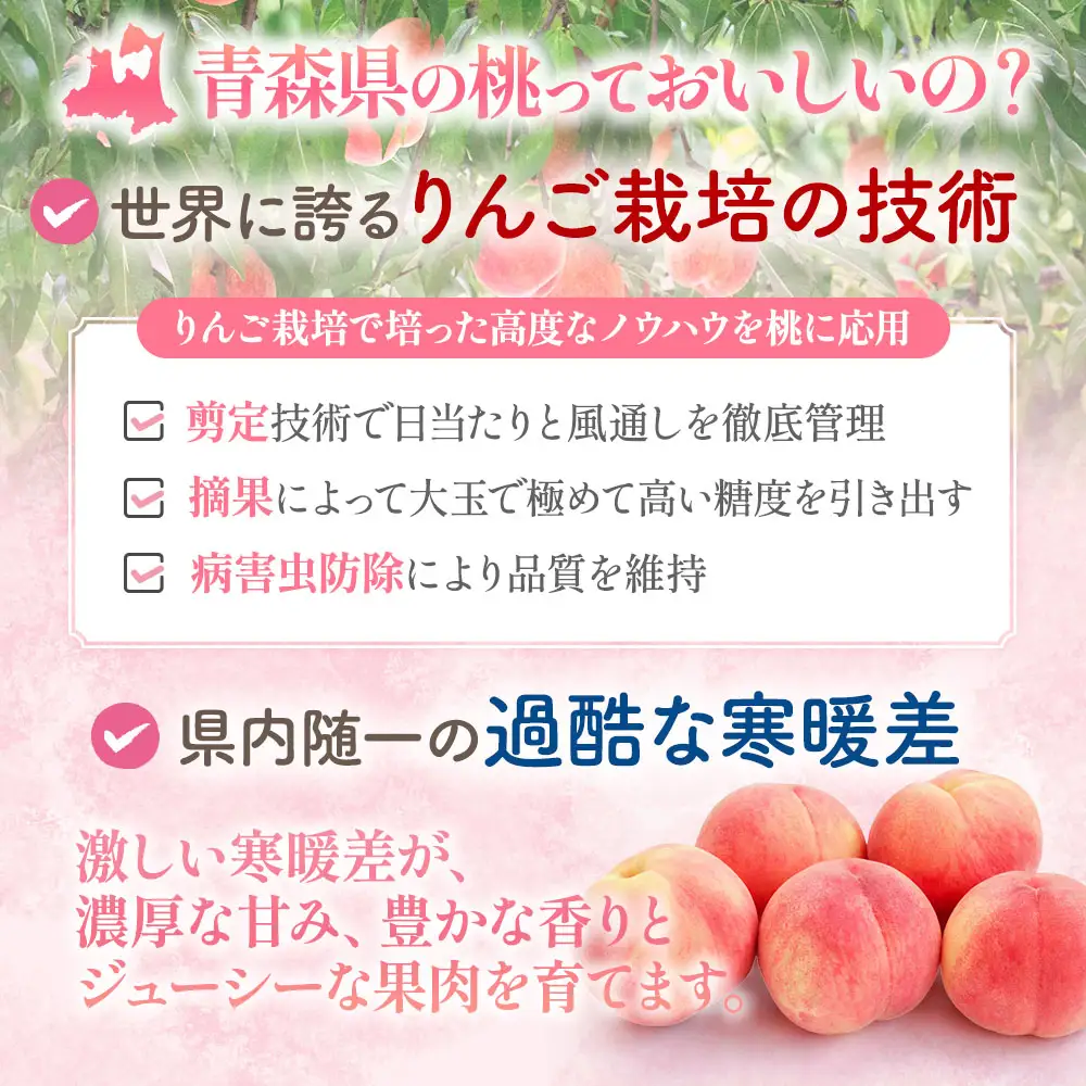 【先行予約】 青森県産桃 約5kg ぴちパ ピーチ【8月中旬～9月上旬発送】もも 桃