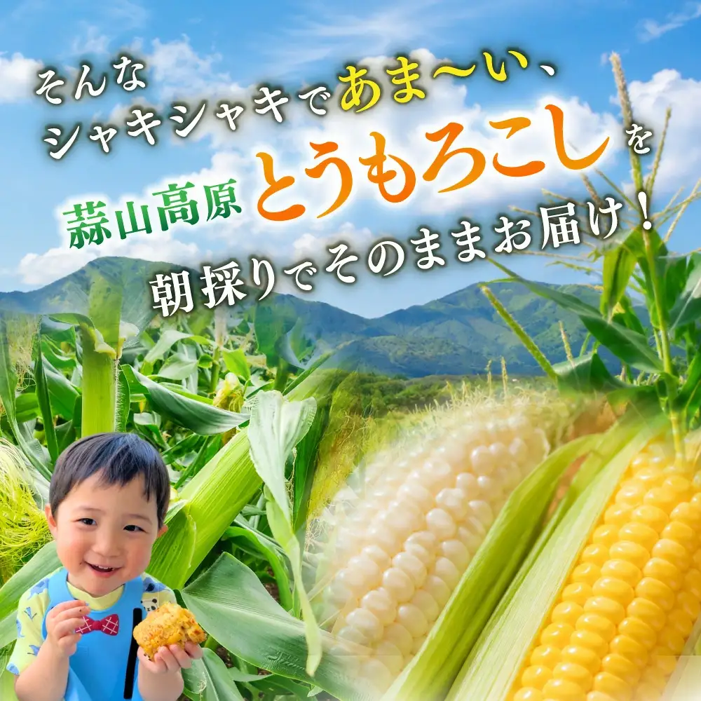 とうもろこし 蒜山高原産 朝採れとうもろこし20本 (イエロー10本 ホワイト10本) 【jujy004-02】