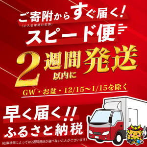 【入金確認後、2週間以内に発送】＜A4・A5等級＞鹿児島県産黒毛和牛100%使用極上ハンバーグ計300g(150g×2個) 黒毛和牛 和牛 ハンバーグ 冷凍ハンバーグ 肉 牛肉 国産 九州産 鹿児島県産 ミンチ 100% 小分け A4 A5 日本一 人気 p9-035-2w