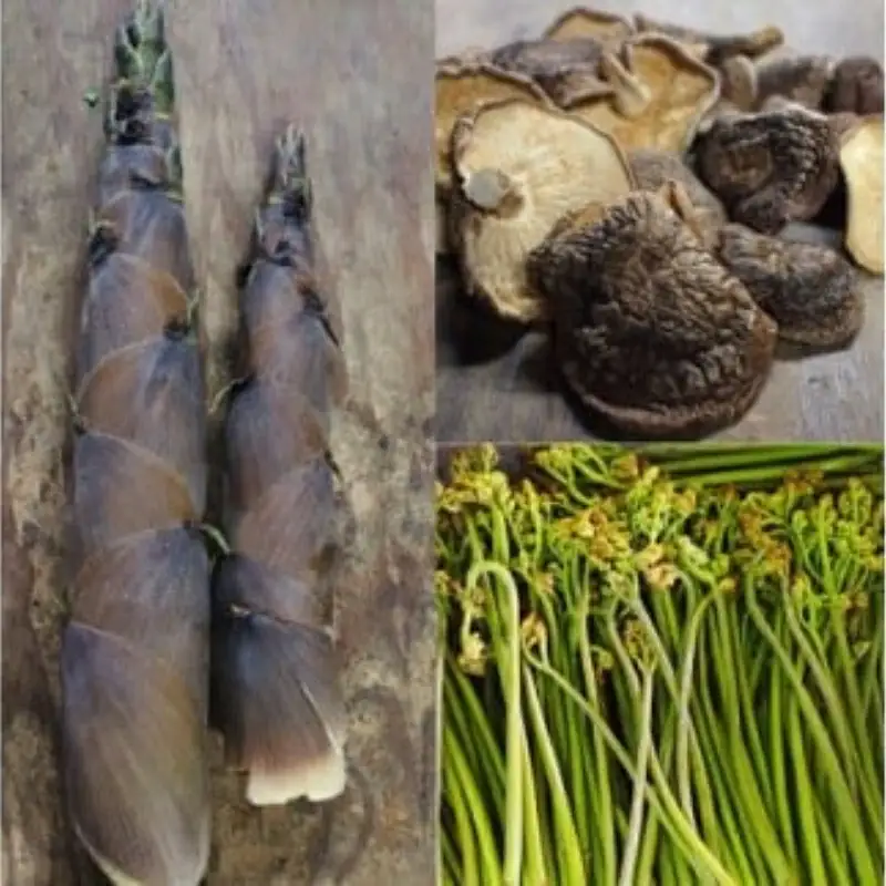 【2026年5月下旬以降に配送予定】 森田醤油醸造元 山菜おかず味噌 300ｇ×３ / 岡山真庭 山菜味噌 もろみ味噌 金山寺みそ 真庭産 食べる味噌 人気 ご飯にかける 調味料 生野菜 ビールに合う 山菜 わらび はちく 干し椎茸 【配送不可地域：北海道／沖縄県／離島】【jujy037-01】