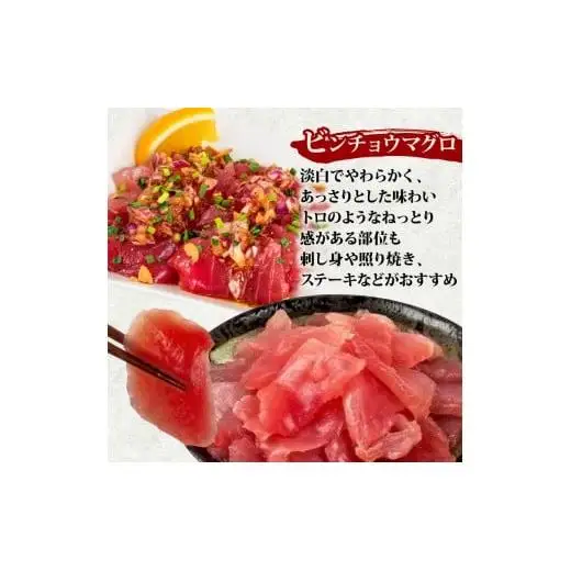 【 訳あり 】 訳ありビンチョウマグロ 1.5kg