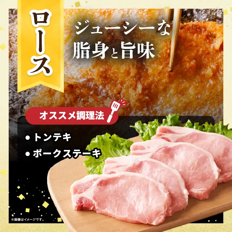 宮崎県産 豚肉ロースカツ用＆ヒレカツ用セット 合計1.3kg 国産 食品 2種 食べ比べ とんかつ トンテキ ポークステーキ 角煮 ソテー 豚丼 小分け おすすめ おかず お弁当 晩ご飯 手軽 便利 万能食材 ギフト 贈り物 冷凍 日南市 送料無料_BB156-25