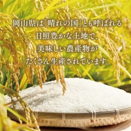 おいしいお米(5kg)無洗米　リピーター続出【1647875】