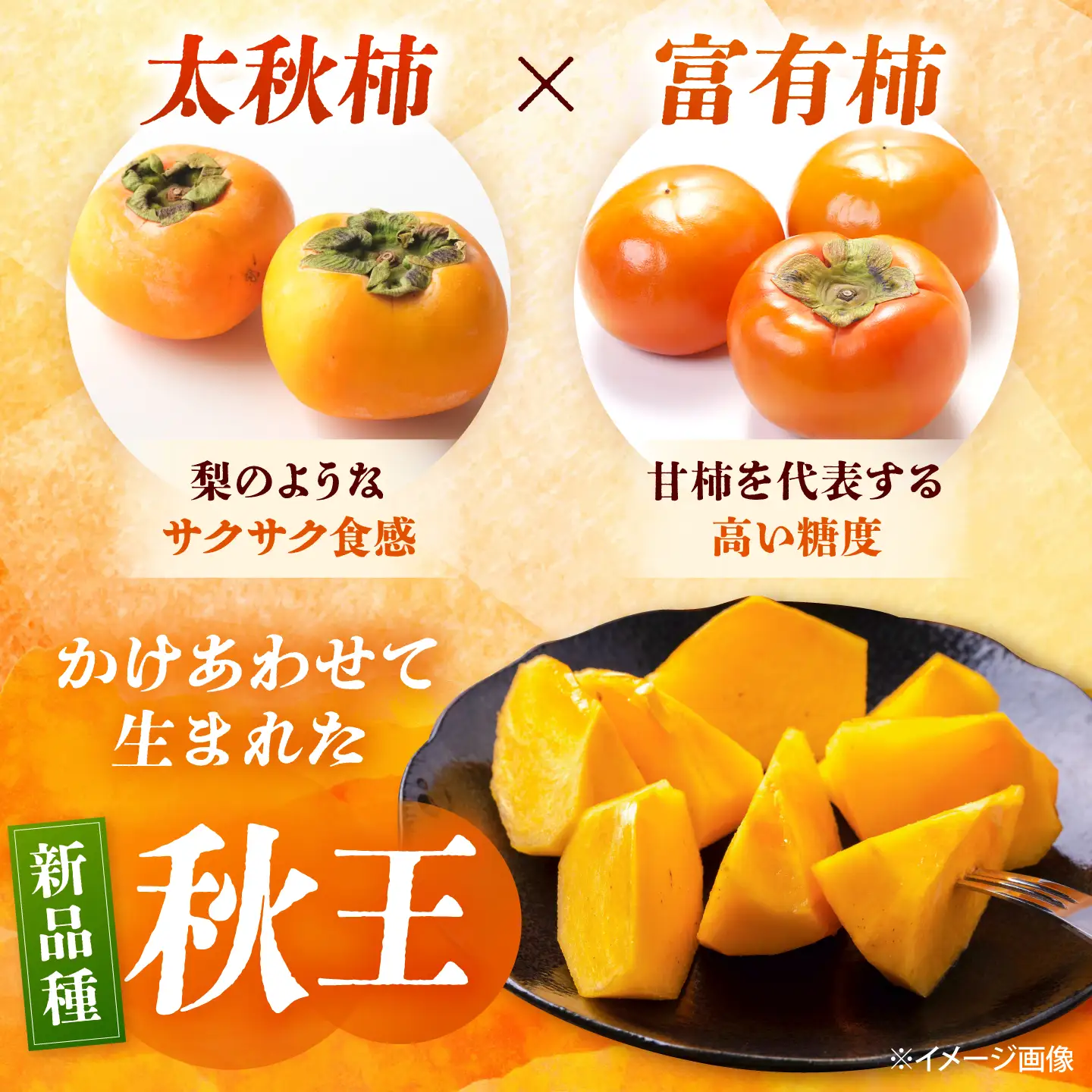 秋王柿 3kg 8-12玉 BGAG016 種なし 柿