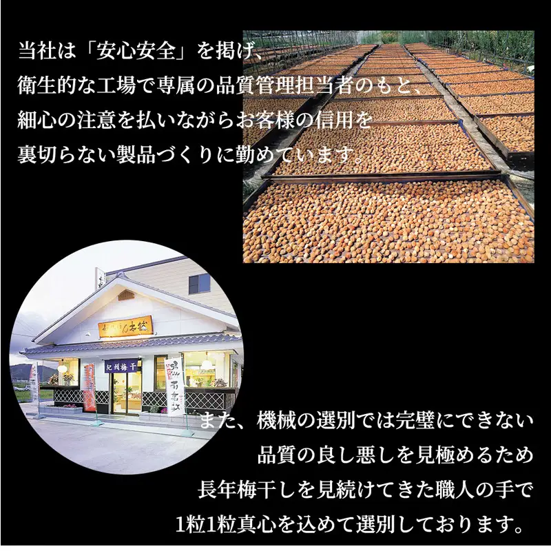 紀州南高梅　昔ながらのしそ漬　家庭用Ｂ級　900g_SF2026