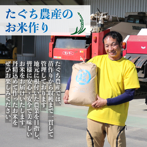 令和8年産 新米 こしひかり 10kg 新米
