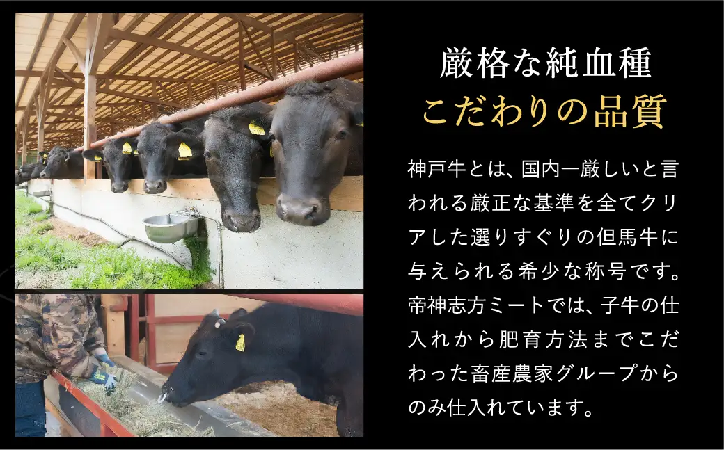神戸牛 ボリューム焼肉セット 肩ロース 肩 モモ バラ 赤身角切り 2kg / 焼肉 食べ比べ 牛肉 小分け (200g×5種×2パック) 密着包装 赤身 霜降り国産牛 焼肉セット 焼き肉 冷凍 国産牛 ブランド牛 黒毛和牛 神戸ビーフ 化粧箱入り ギフト【帝神志方ミート】