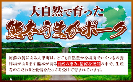 【ふるなびWEEK】豚肉 小分け しゃぶしゃぶ 豚バラ 豚ロース 熊本 うまか ポーク スライス フィルムタイプ 2.4kg《30日以内に出荷予定(土日祝除く)》豚バラエティー セット 小分け スライス