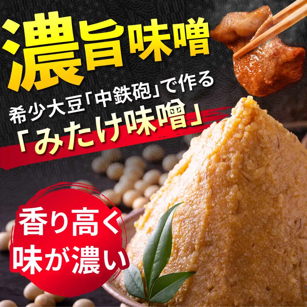「元祖みたけとんちゃん」 【辛口セット】 ピリ辛みそ味×ミックスホルモン狂辛（4人前）[AVAA054]ホルモン 辛口