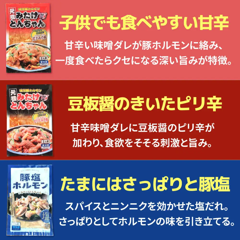 「元祖みたけとんちゃん」 3種セット（6人前）[AVAA056]ホルモン 食べ比べ