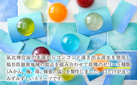 [009-a015] ジュレビレッジ 5個（5種類 × 1個）