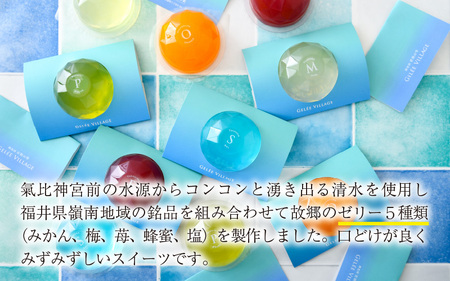 [009-a010] ジュレビレッジ 10個（5種類 × 2個）