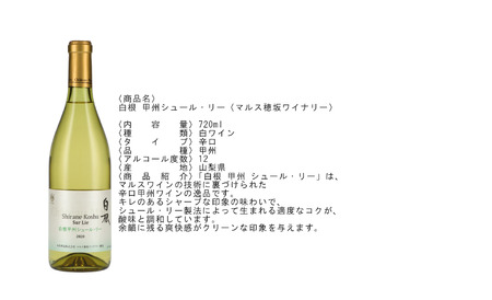 南アルプス市産甲州ワイン2本セット ALPAJ059