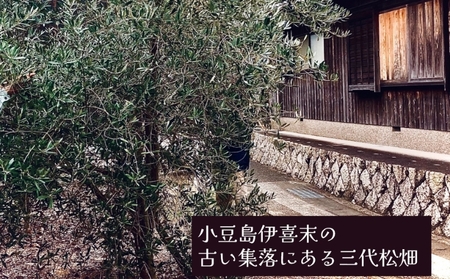 オリーブオイル エクストラバージン 三代松家 無濾過 小豆島産 オリーブオイル【120ml×3本】