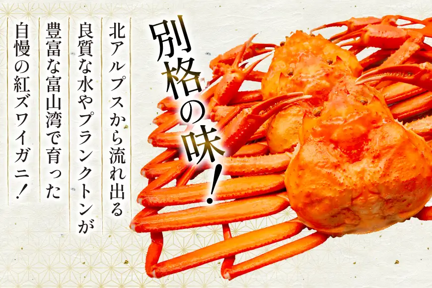 カニ ベニズワイ 冷凍便 中サイズ 3杯 総計1.2kg以上