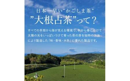 No.054-2 緑茶ティーバッグ（4g×10p）【ノウフクJAS認証茶】