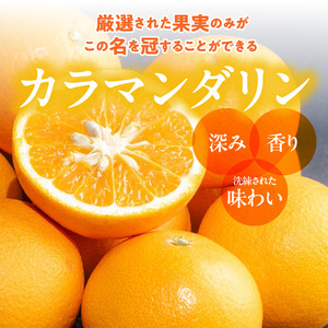 【2027年先行予約】和歌山県産 カラマンダリン 約3kg 秀品_ZE6500