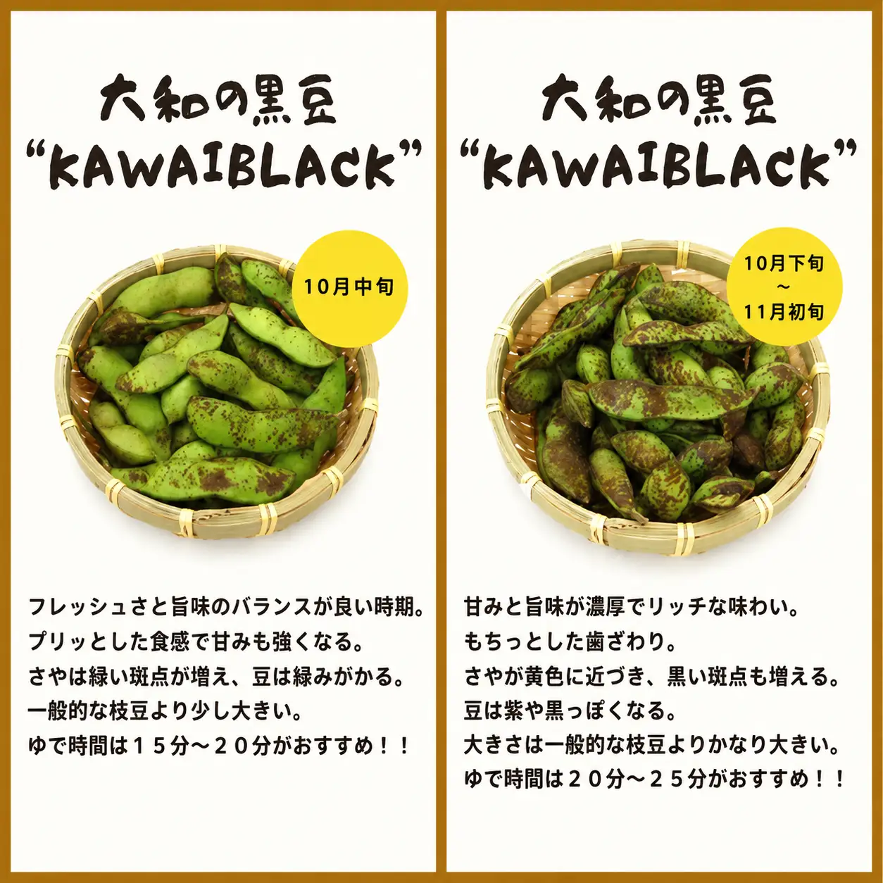 【先行予約】大和の黒豆 幻の枝豆 優品2.4kg(800g×3束) 枝豆 えだまめ