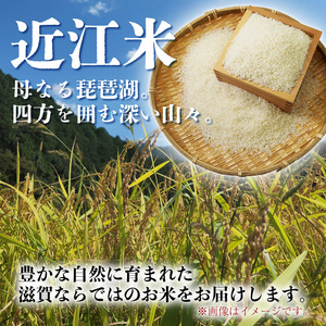 みずかがみ 5kg 12ヶ月定期便 「みずかがみ」150,000円