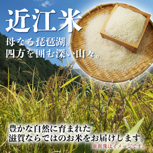 こしひかり 10kg 12ヶ月定期便 「コシヒカリ」300,000円
