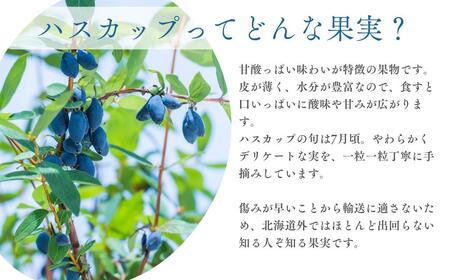 冷凍 ハスカップ 計500g [AXAB085] ハスカップ