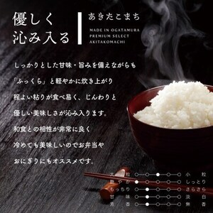 秋田県産 予約受付開始!あきたこまち【令和7年産】白米20kg(5kg×4)《10月中旬より発送》【配送不可地域：離島・沖縄県】【1637020】