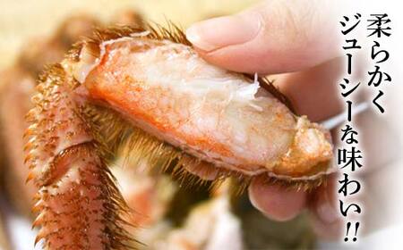 【北海道産】 浜ゆで毛ガニ 約600g (2尾入り) mr1-1059