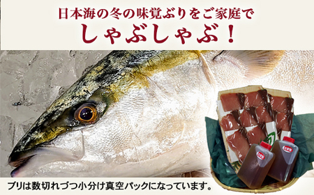 【射水市】【射水のおいしい海鮮】【新湊産】特選 ブリしゃぶセット 2人前 ※2026年12月～発送 ※北陸・関東・中部・近畿地方以外への配送不可